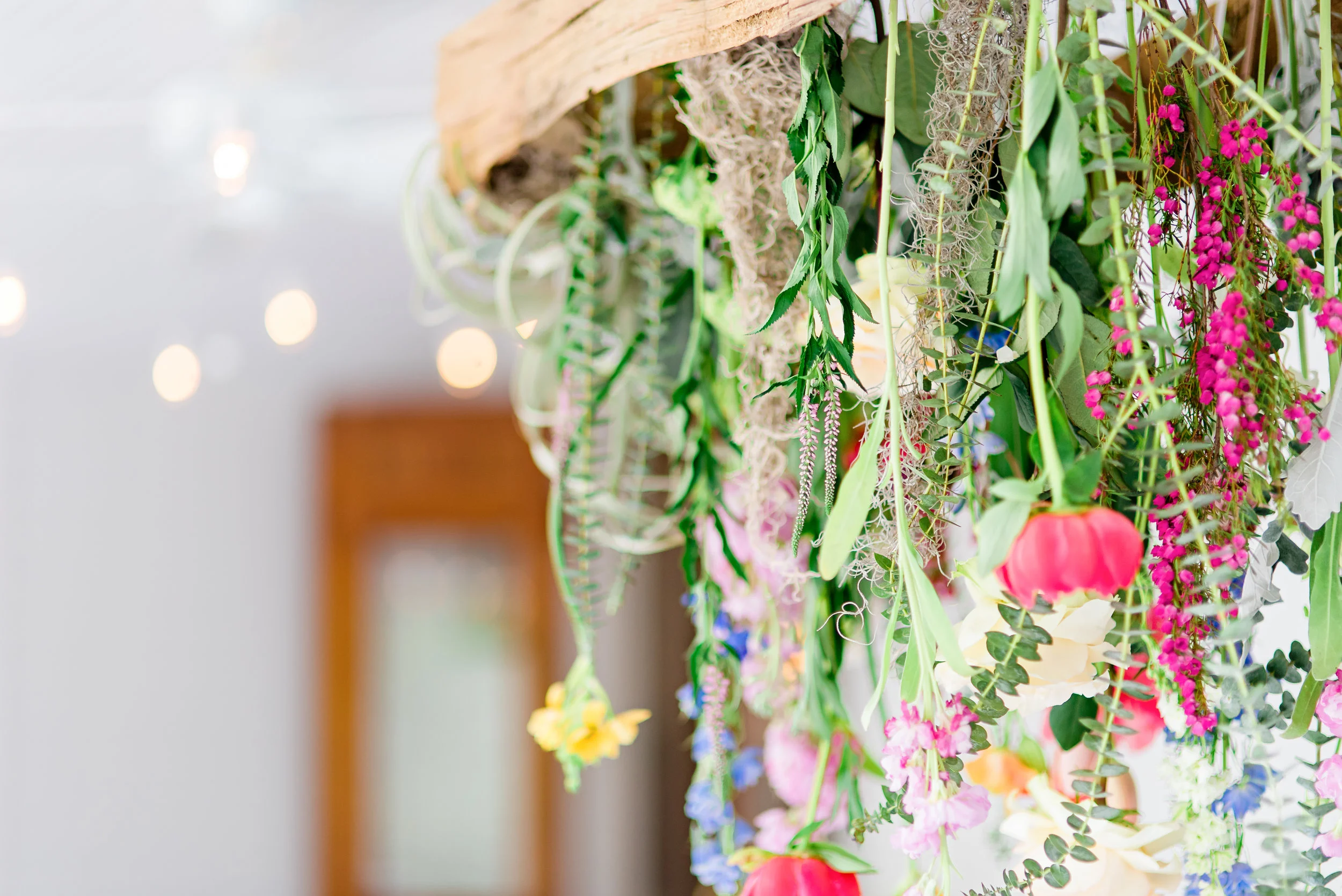 DSC_7741-Edit - Copy.JPG