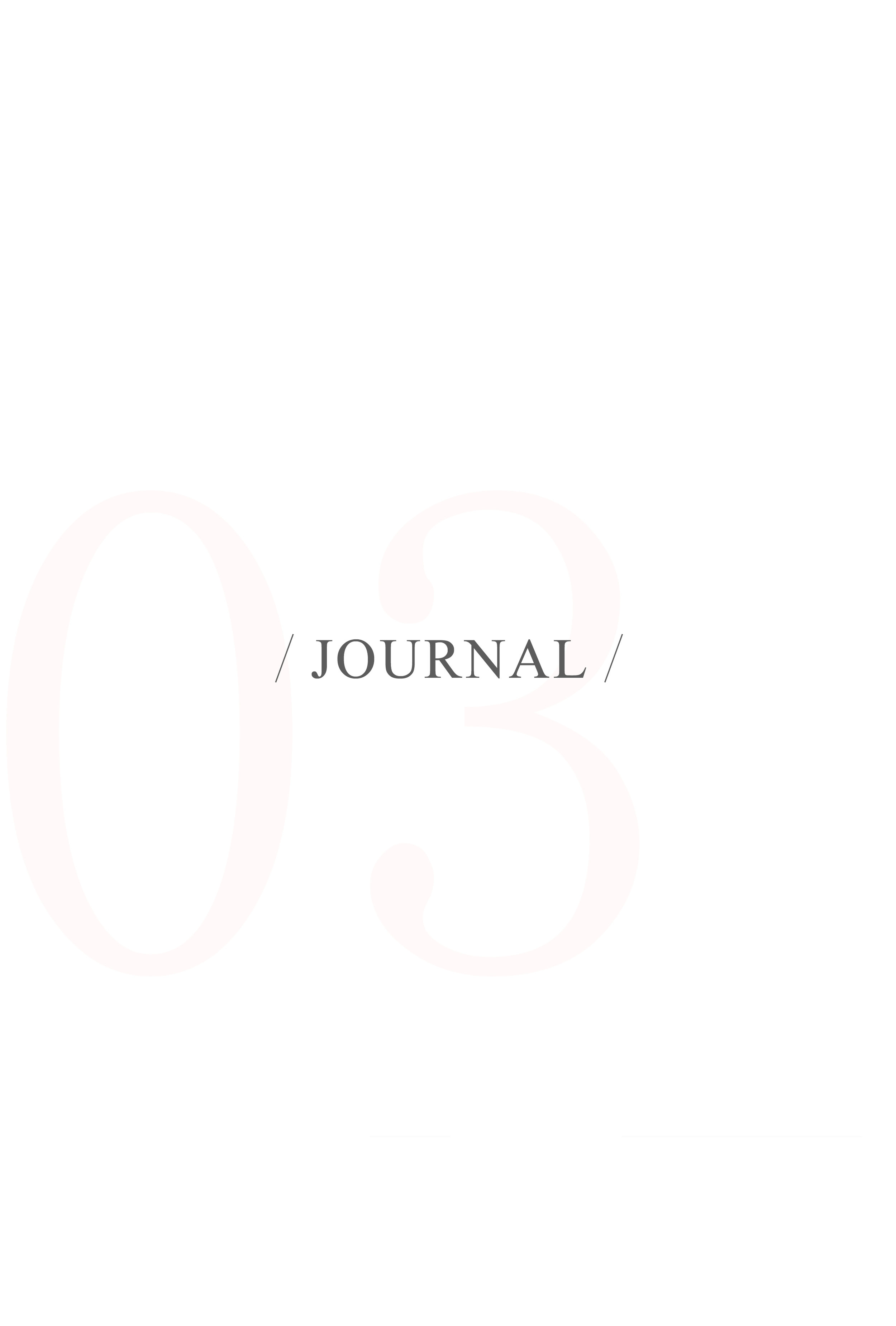 JOURNAL PINK 3.jpg