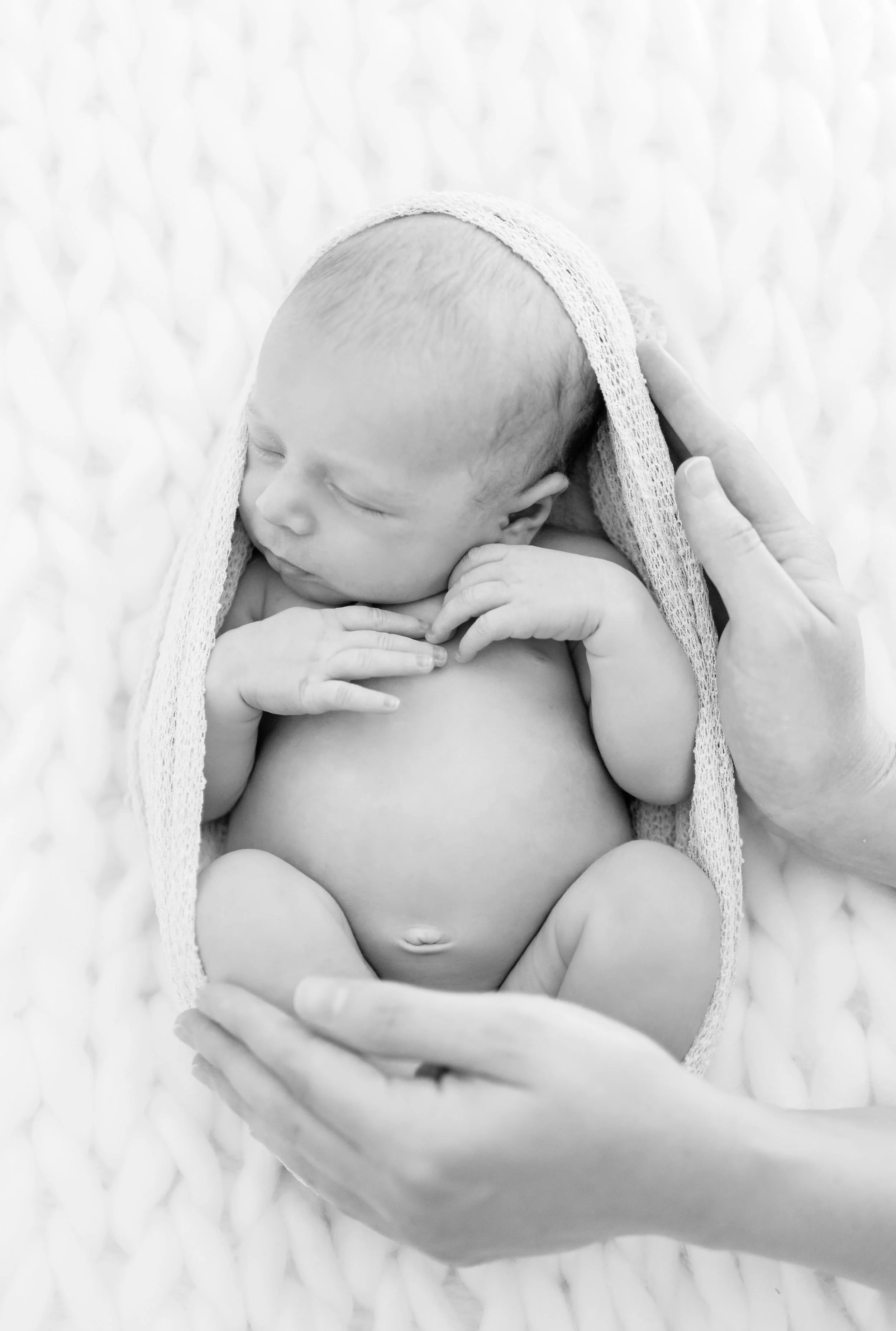 MEG_9185-Edit-Edit.jpg
