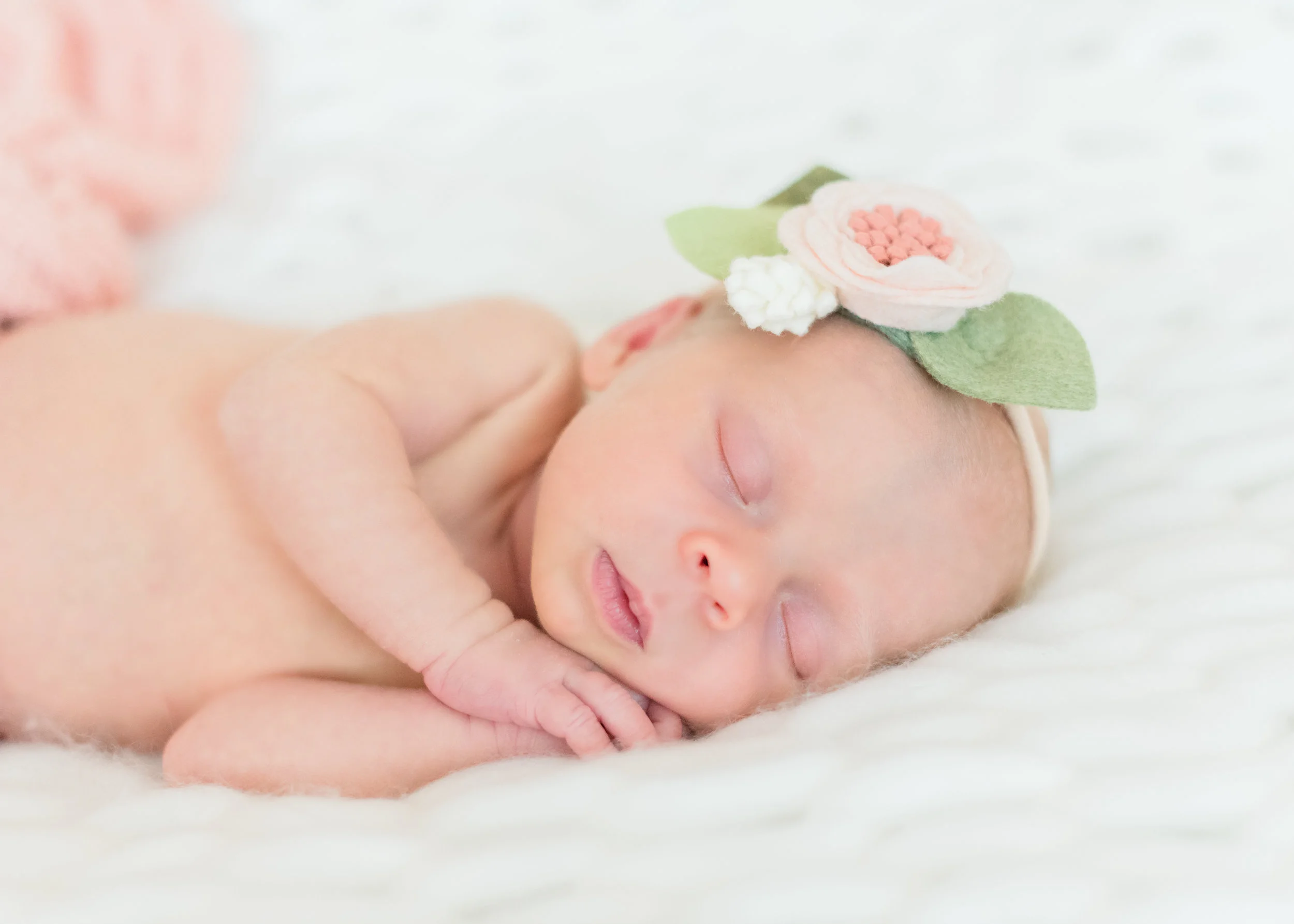 MEG_8368-Edit.jpg