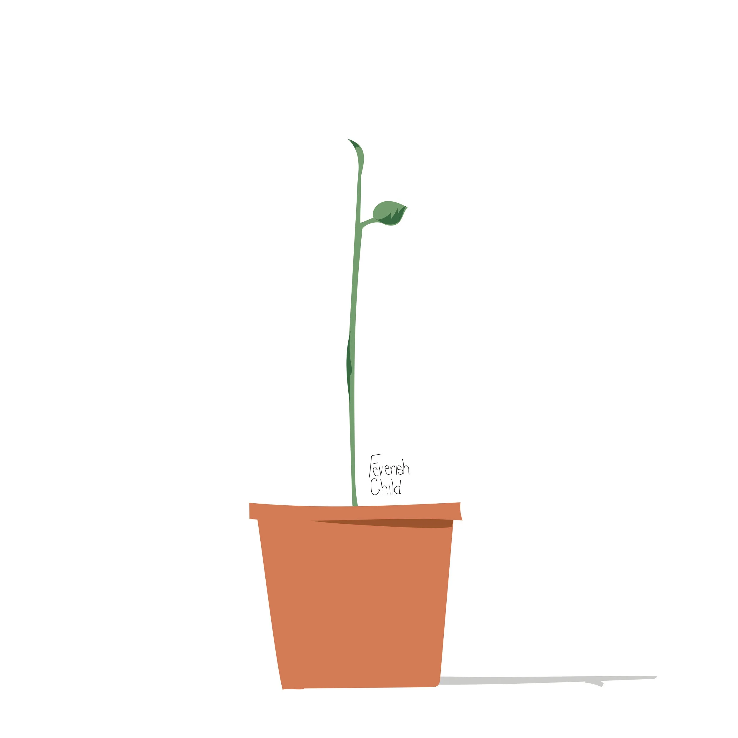 FC_100DayProject2019_7GROWTH.jpg
