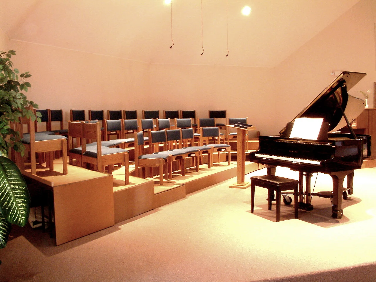 stage-1467447.jpg
