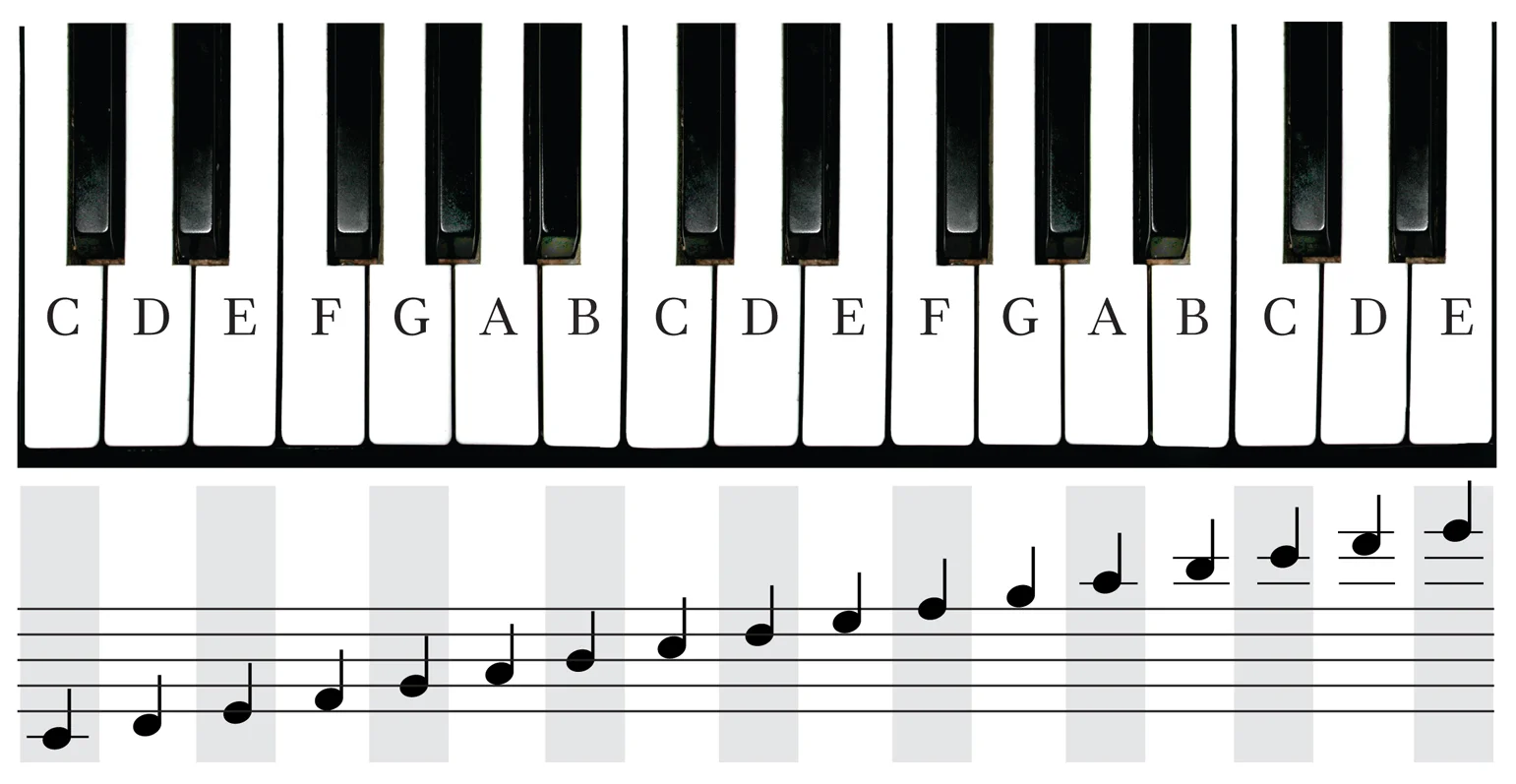 Play Note Blocks On Keyboard – What Is A Note Block – CACTPZ
