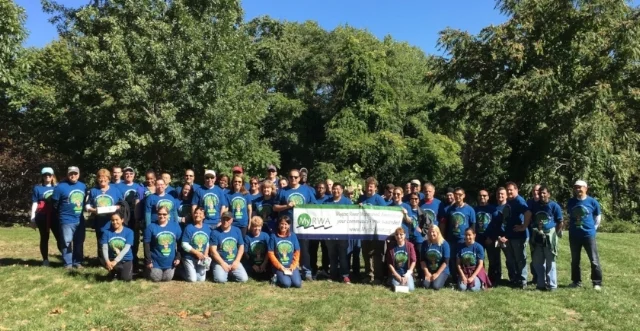 Boston Cares volunteers from Delta Dental help remove invasive plants from Macdonald Park in Medford, MA.