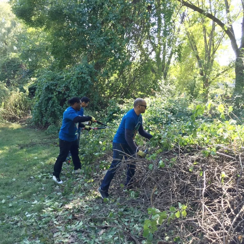 Invasive Species and  Water Quality Internship (summer 2017)