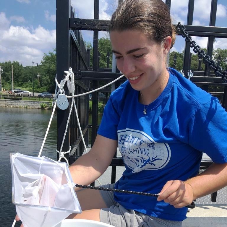 Liz counting American eels.