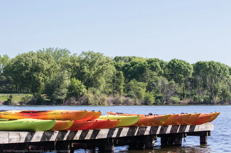 170520-092906-21st Annual MYSTIC RIVER HERRING RUN AND PADDLE-2.jpg