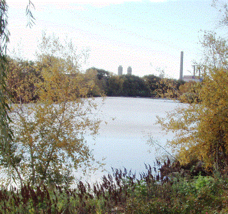 Study Shows Malden River Sediments Should Not Prevent Boating