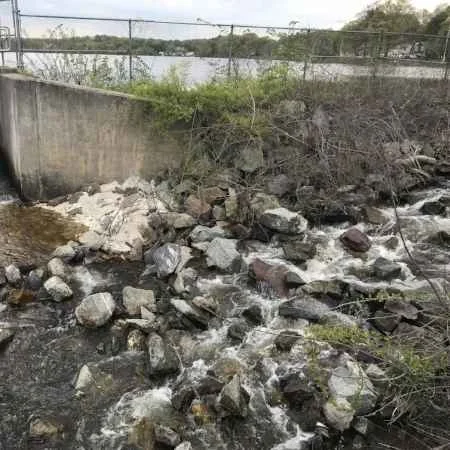 2018 Herring Run is Strong in the Mystic River 