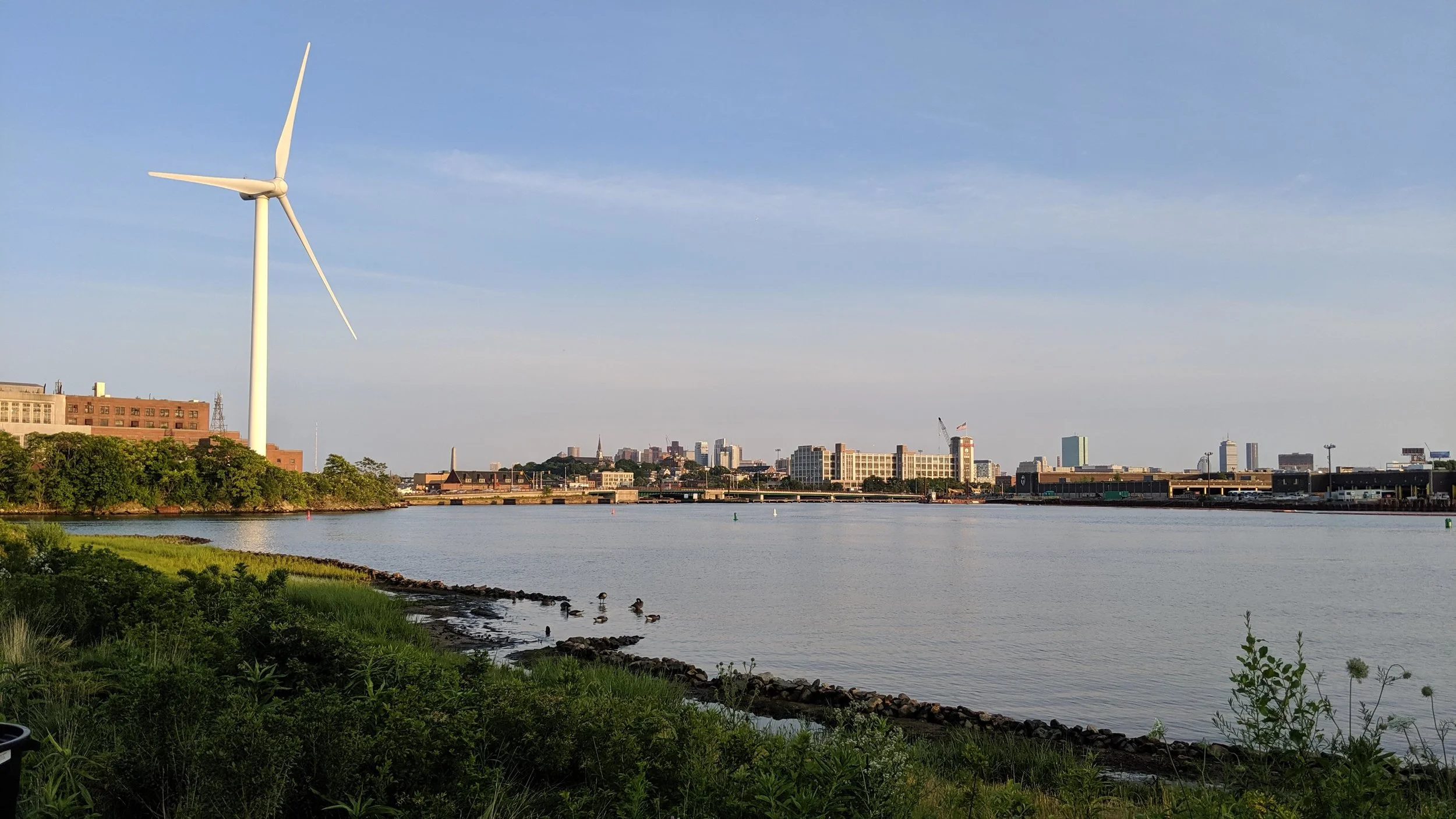 This living shoreline on the Mystic River is looking great--A living shoreline is a protected coastal edge made of natural materials such as plants, sand, or rock. Unlike a concrete seawall or other hard structure, living shorelines grow over time! - Everett