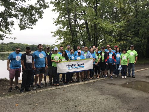 Volunteers from Perkin Elmer helped remove water chestnuts in 2018.
