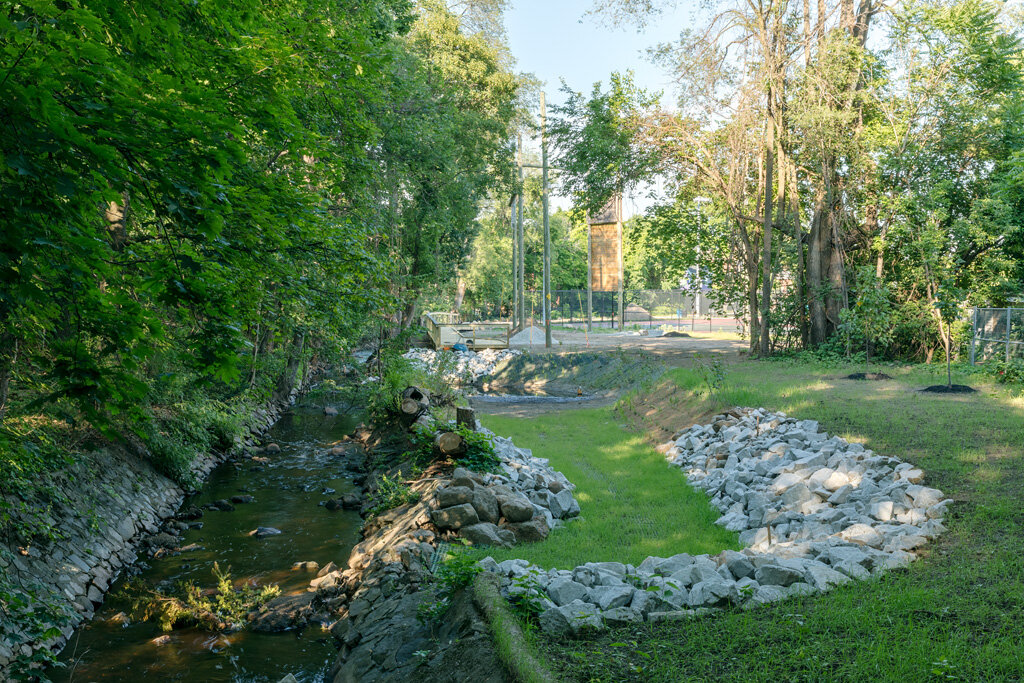 Mill Brook Constructed Wetland 