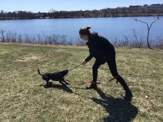 1. What can You Do With a Stick?