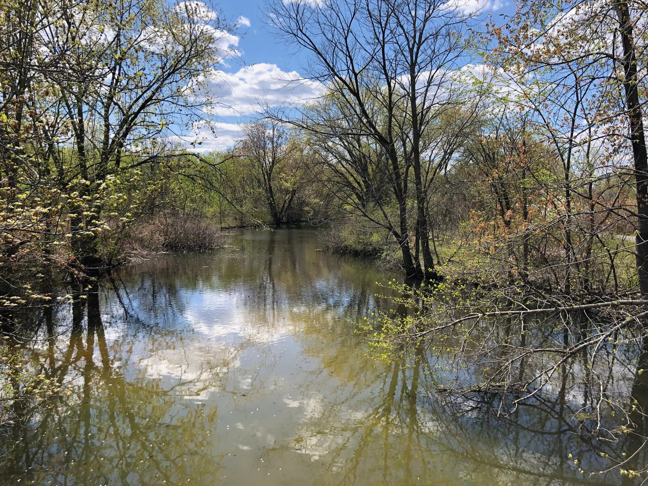 7. Make Your Own River    
