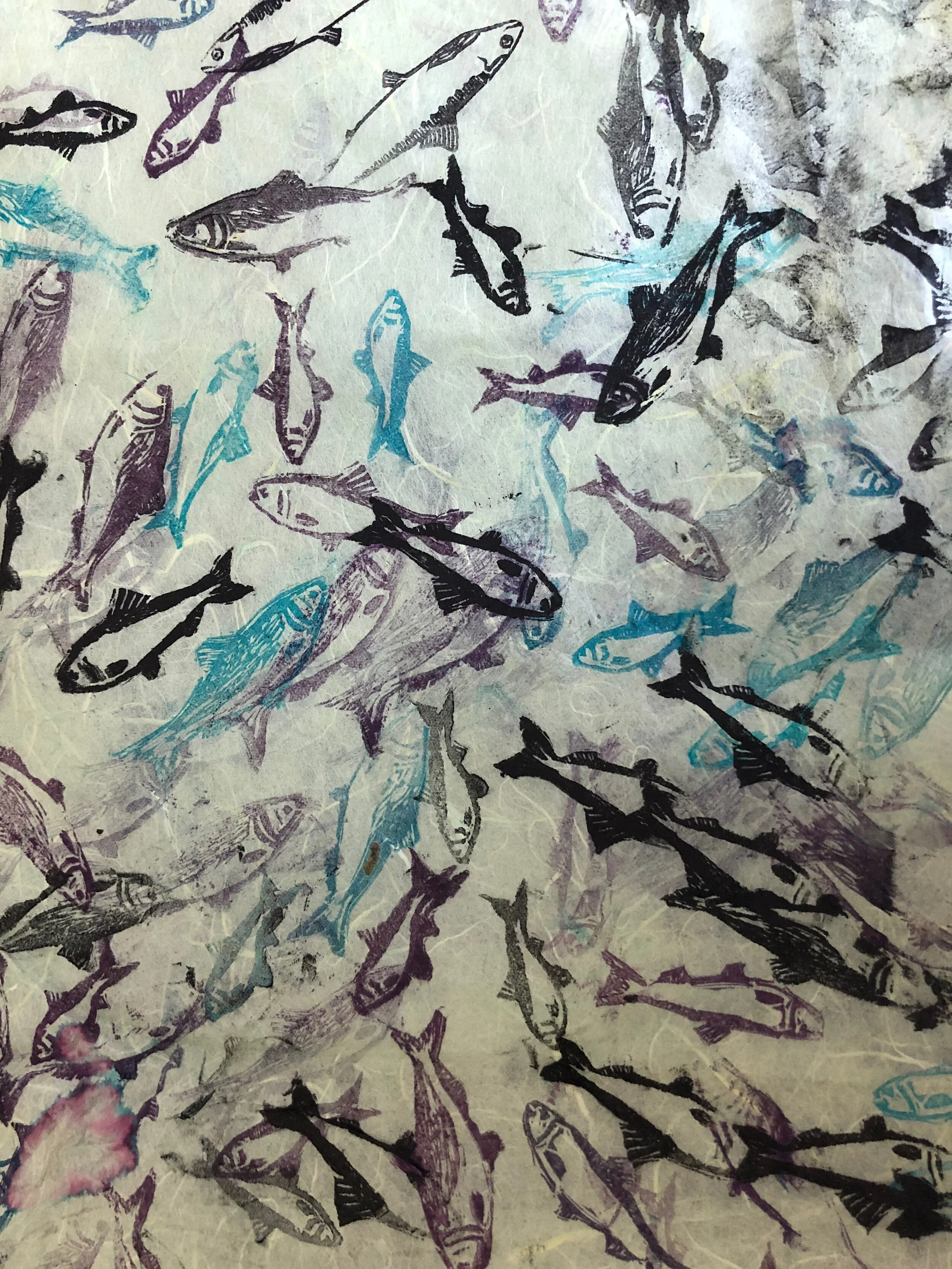 9. Fish, Fish, Fish! Help us Count How Many
