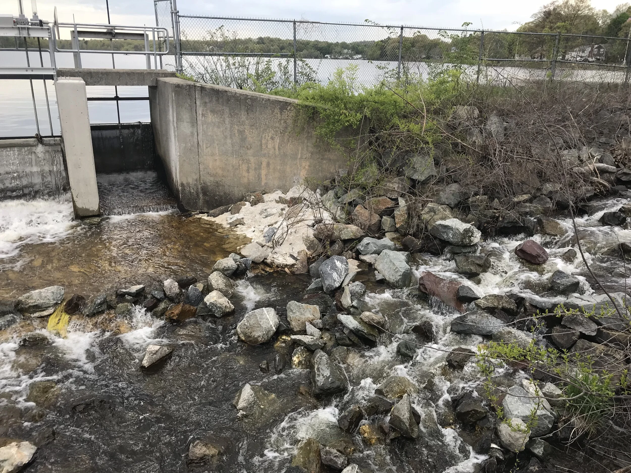 $3.9 Million Allocated to Horn Pond fishway, Shaker Glen 
