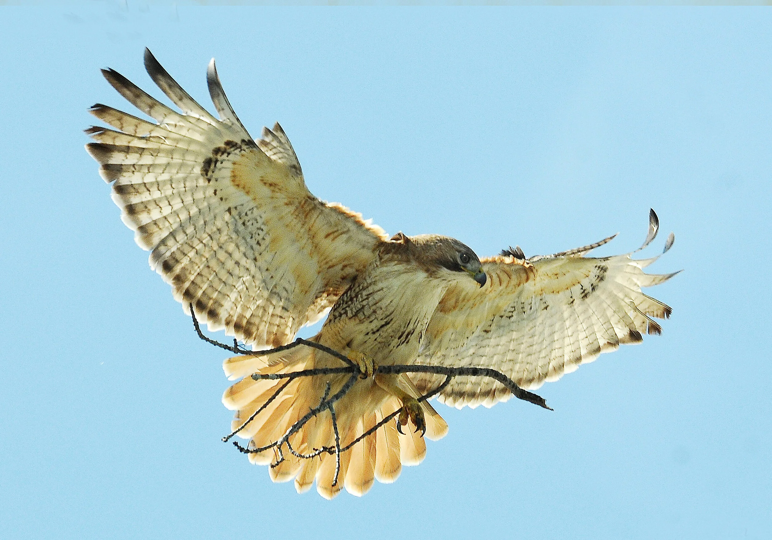 Policy Committee Meeting