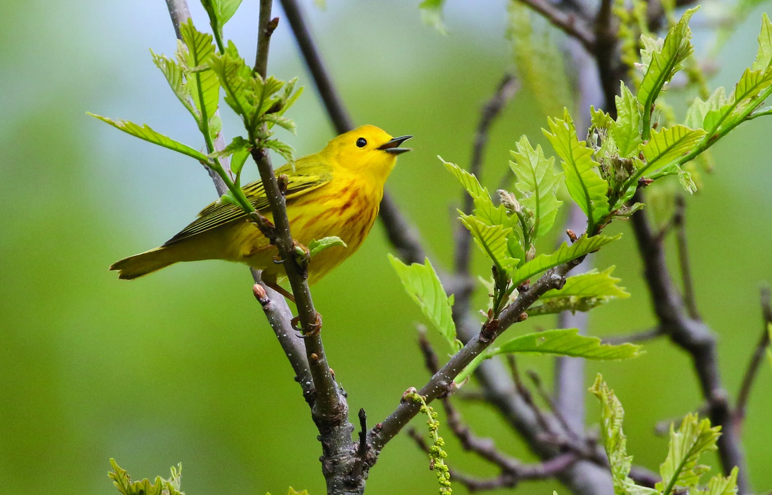 Policy Committee Meeting
