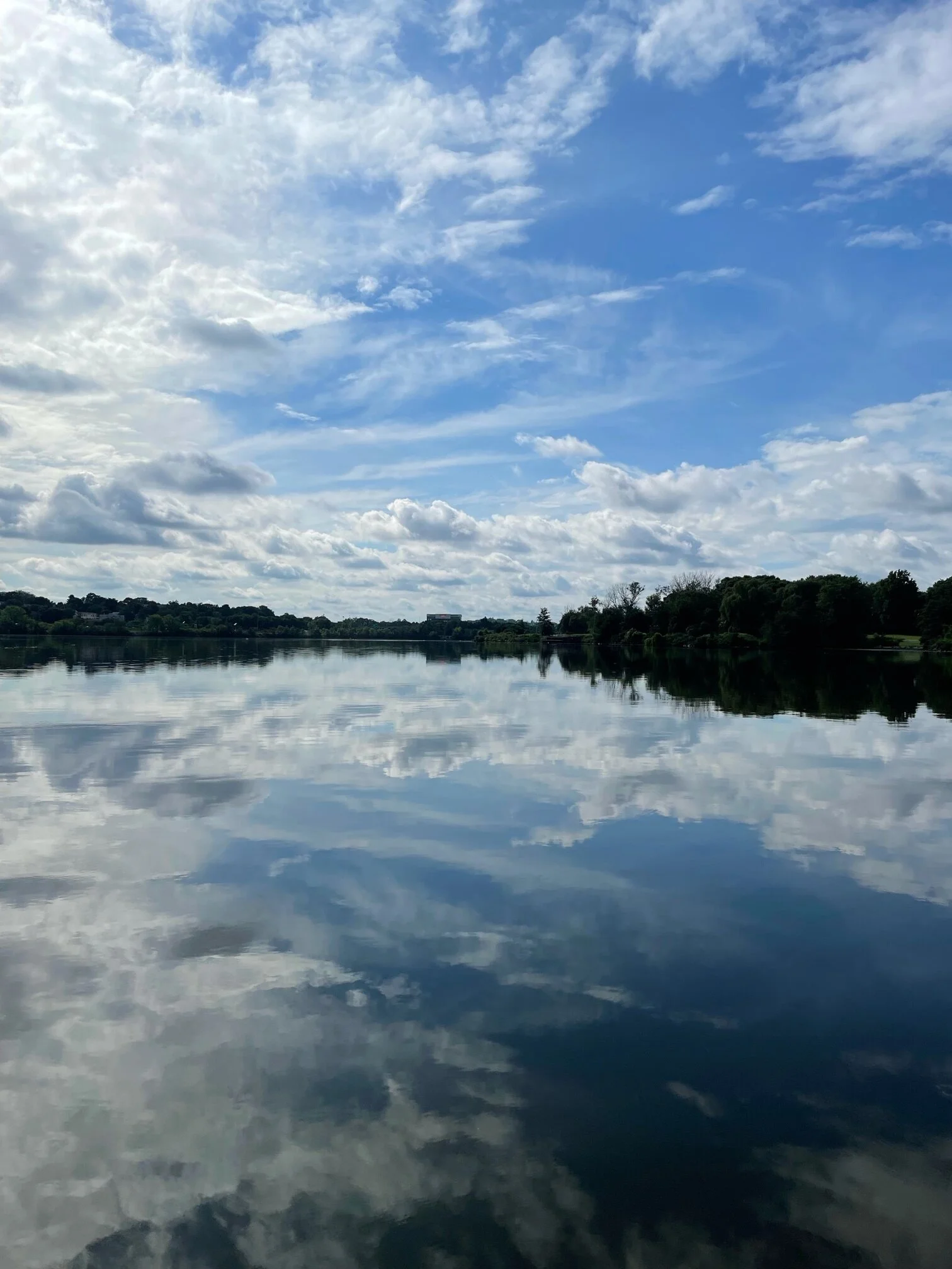 Impact Report: See How Your Support Matters