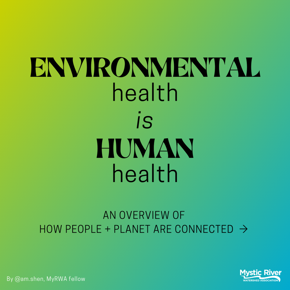 Environmental Health is Human Health — Mystic River Watershed