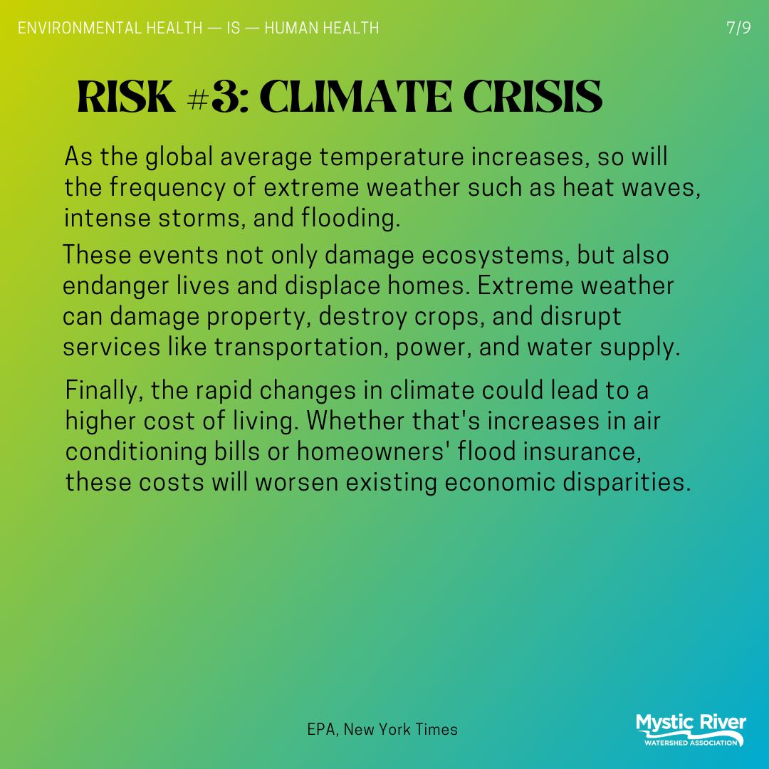 climate crisis.png