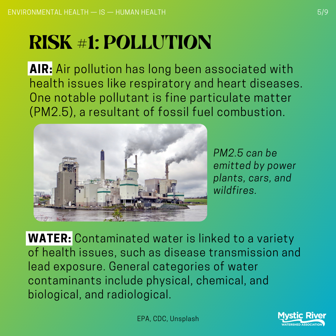 pollutants (draft).png