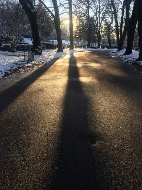 Guest Blog: Foraging in the Mystic