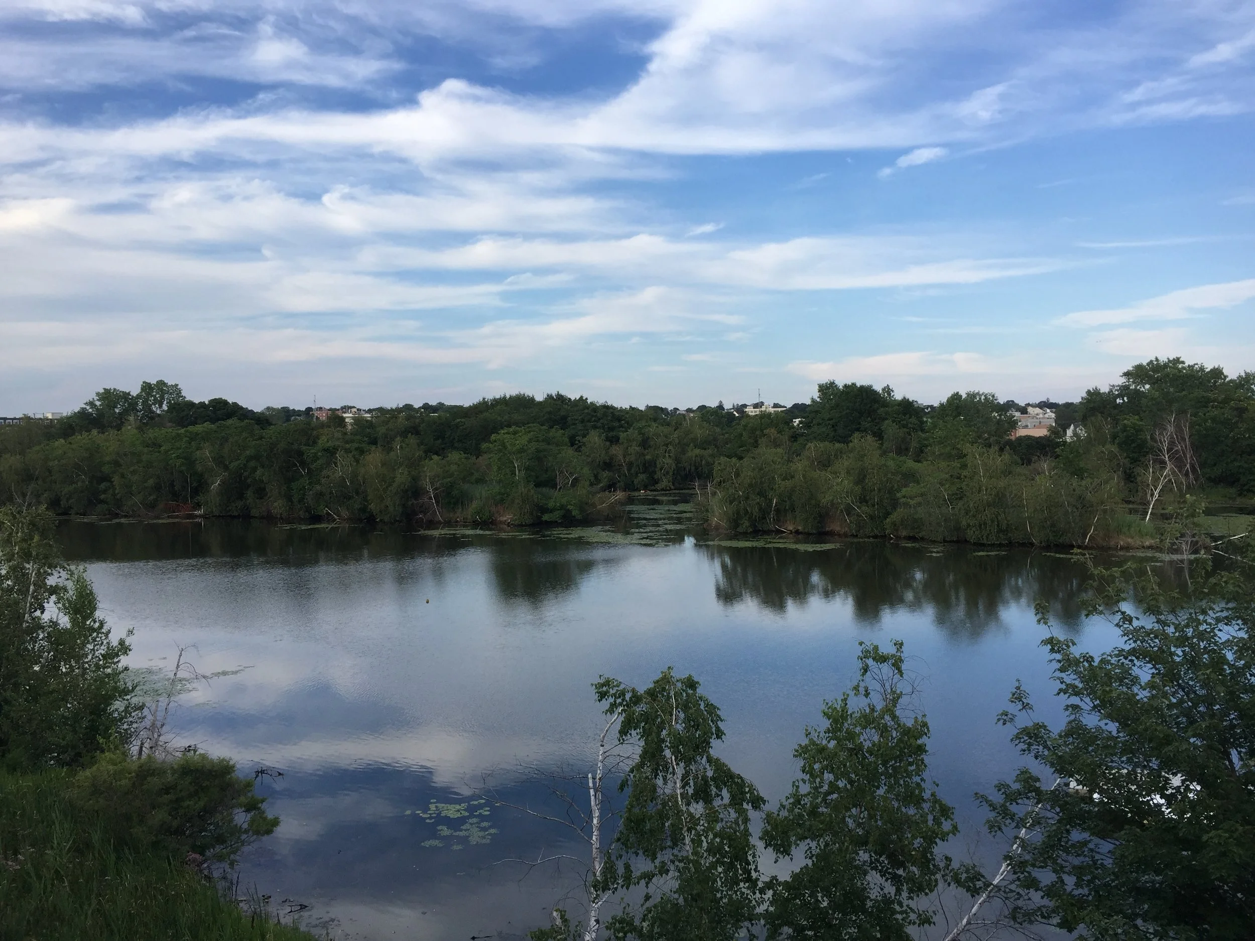 MyRWA Still Pushing for a Path on National Grid's Property on the Malden River