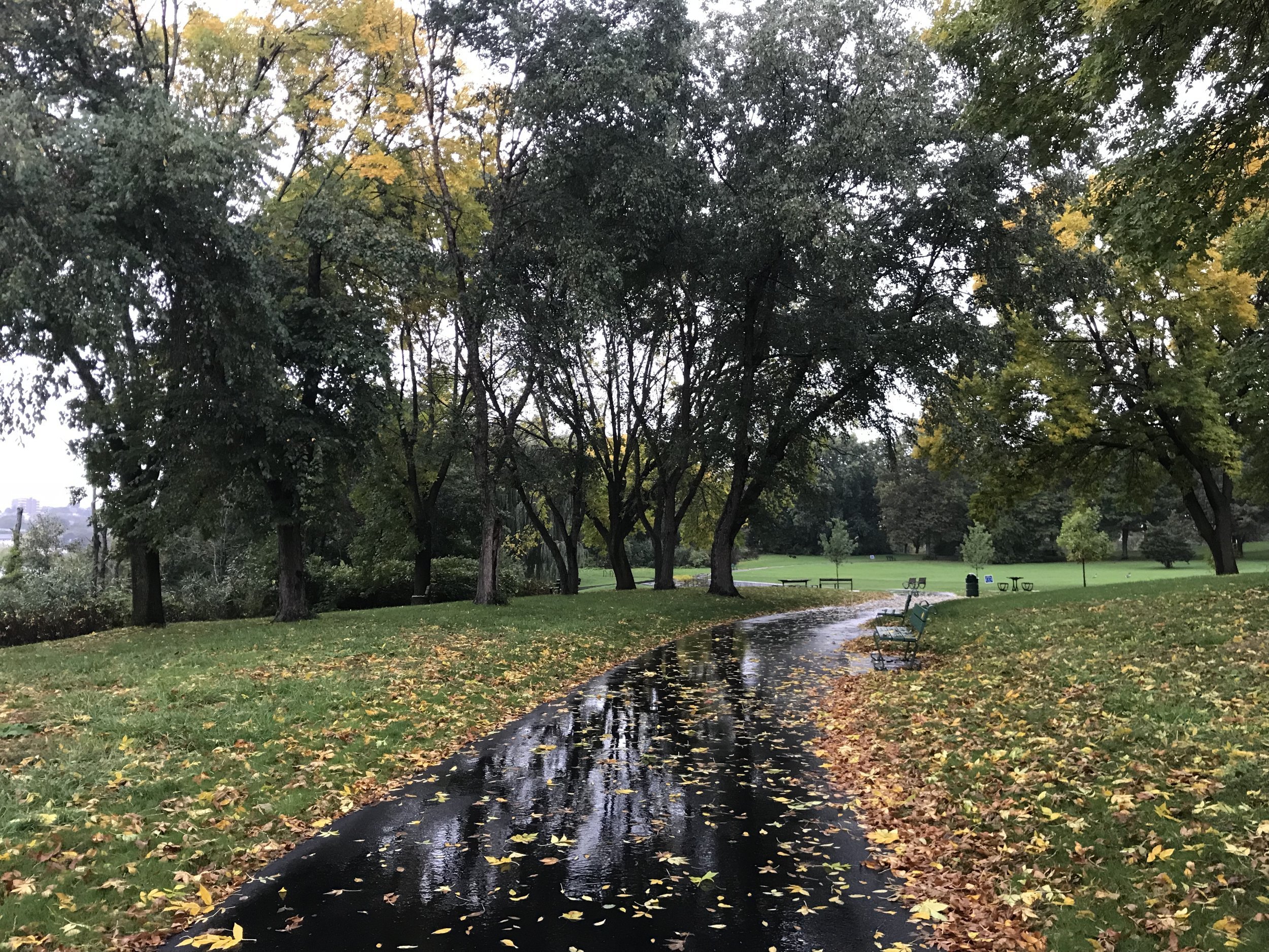 Leaf Peeping