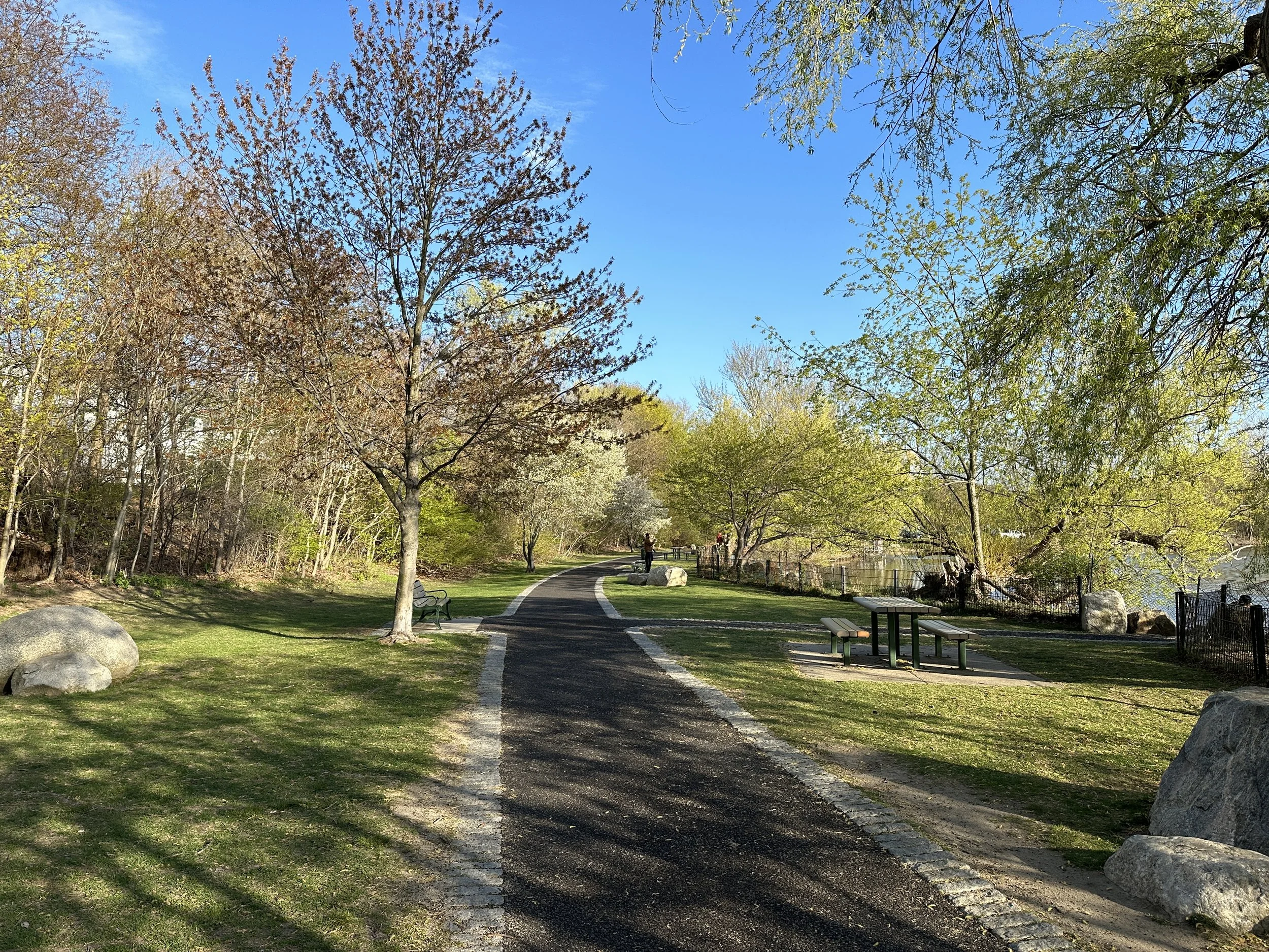 Friends of Spy Pond Park Work Day