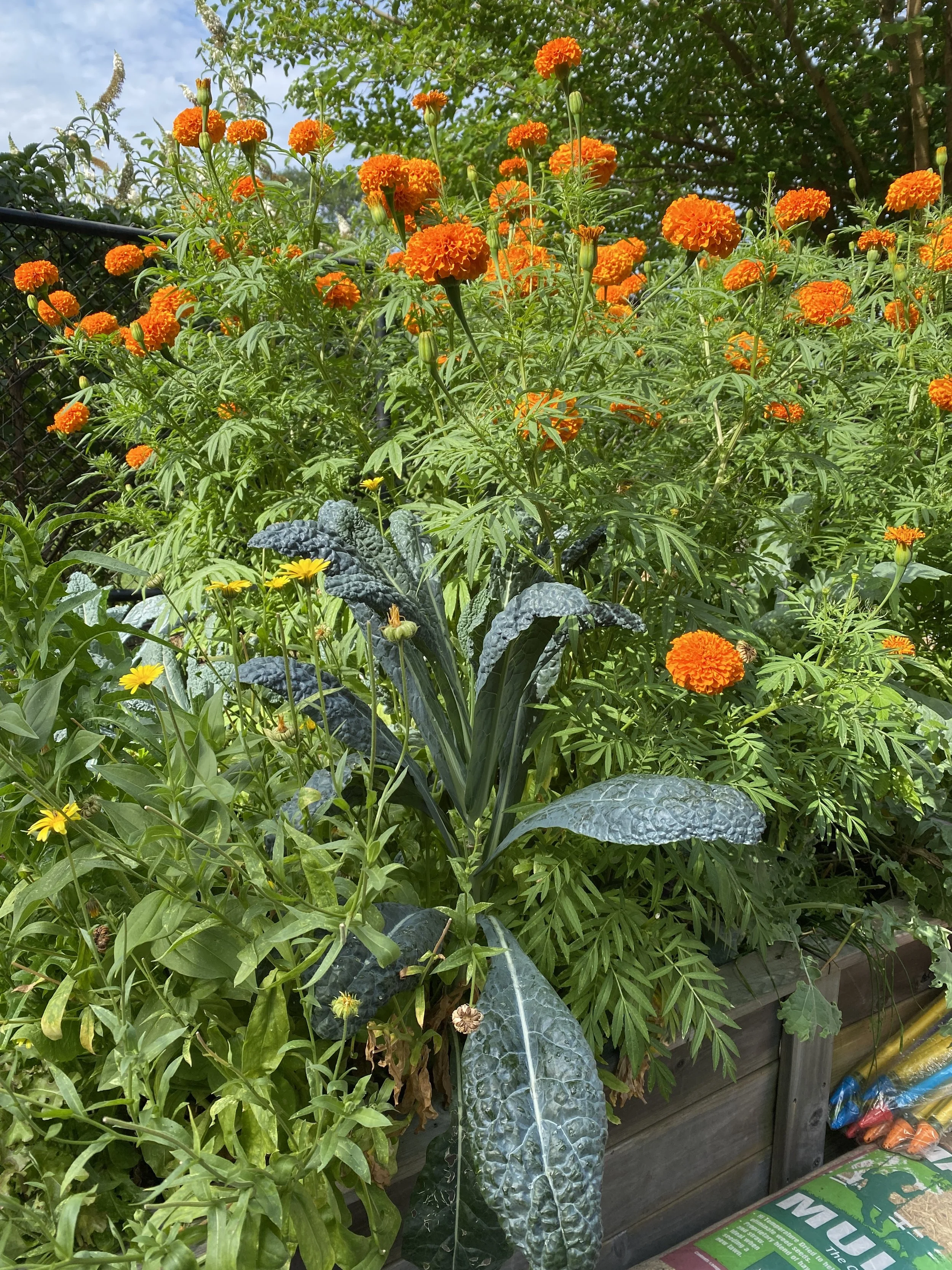 Putting the “Green” in Greenways