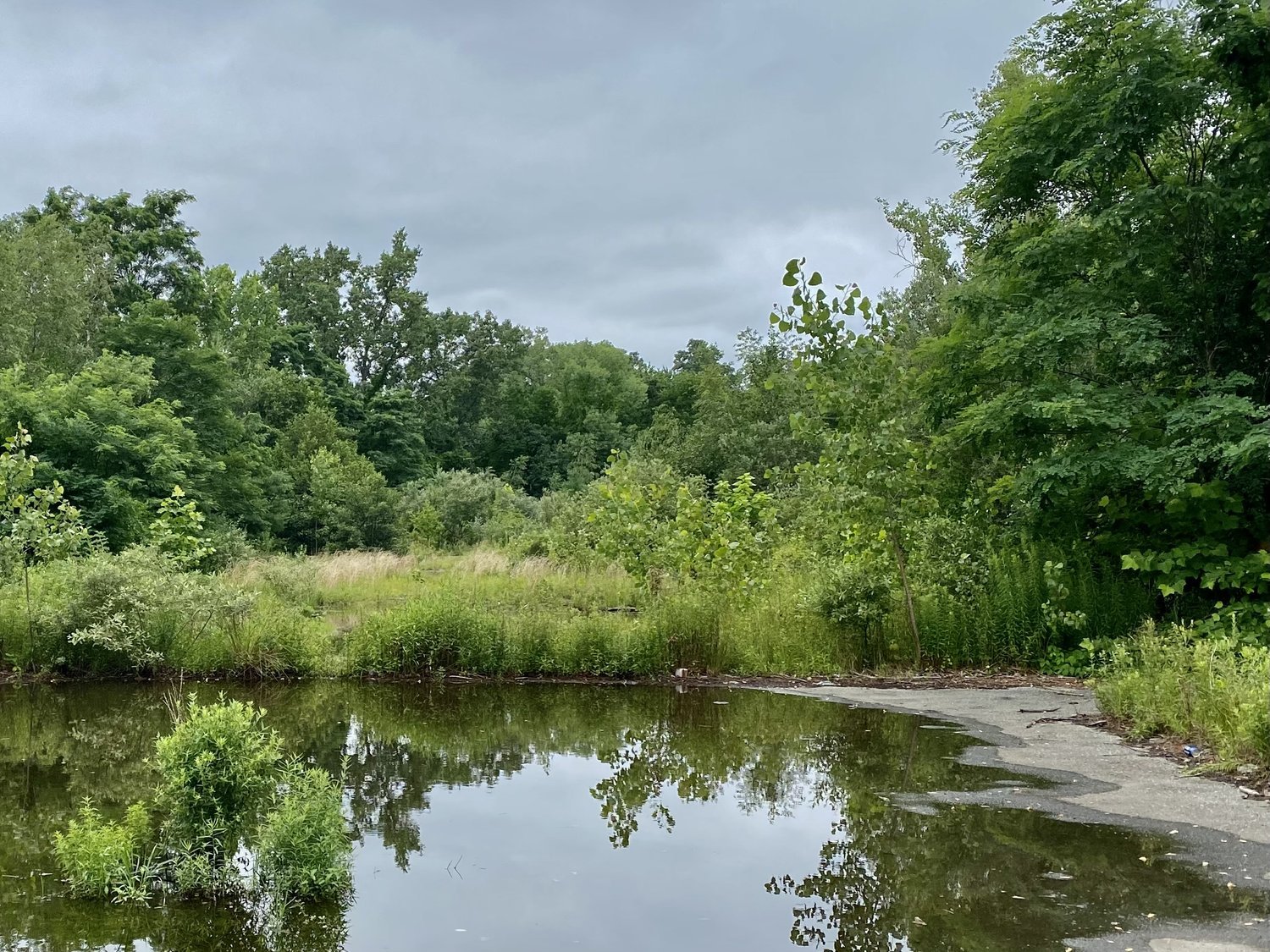 Shaker Glen in Woburn