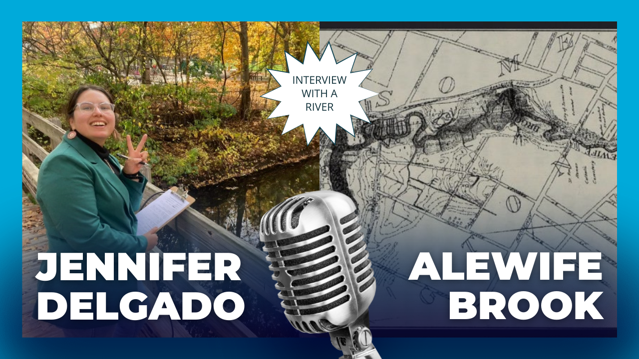 Interview with a River - Alewife Brook