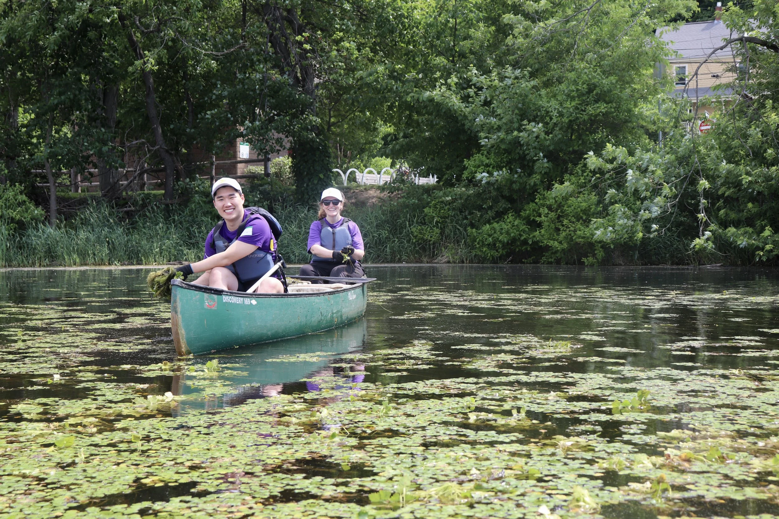 Water Chestnut Removal Volunteer Event - Arlington Reservoir