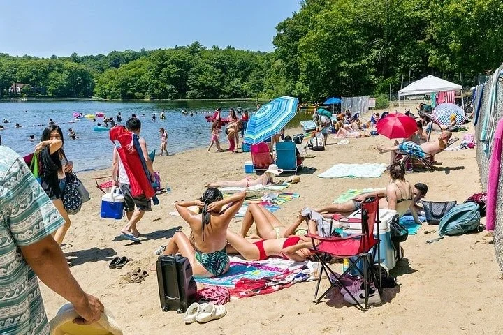 It's So Hot Outside! Why is Shannon Beach Closed?