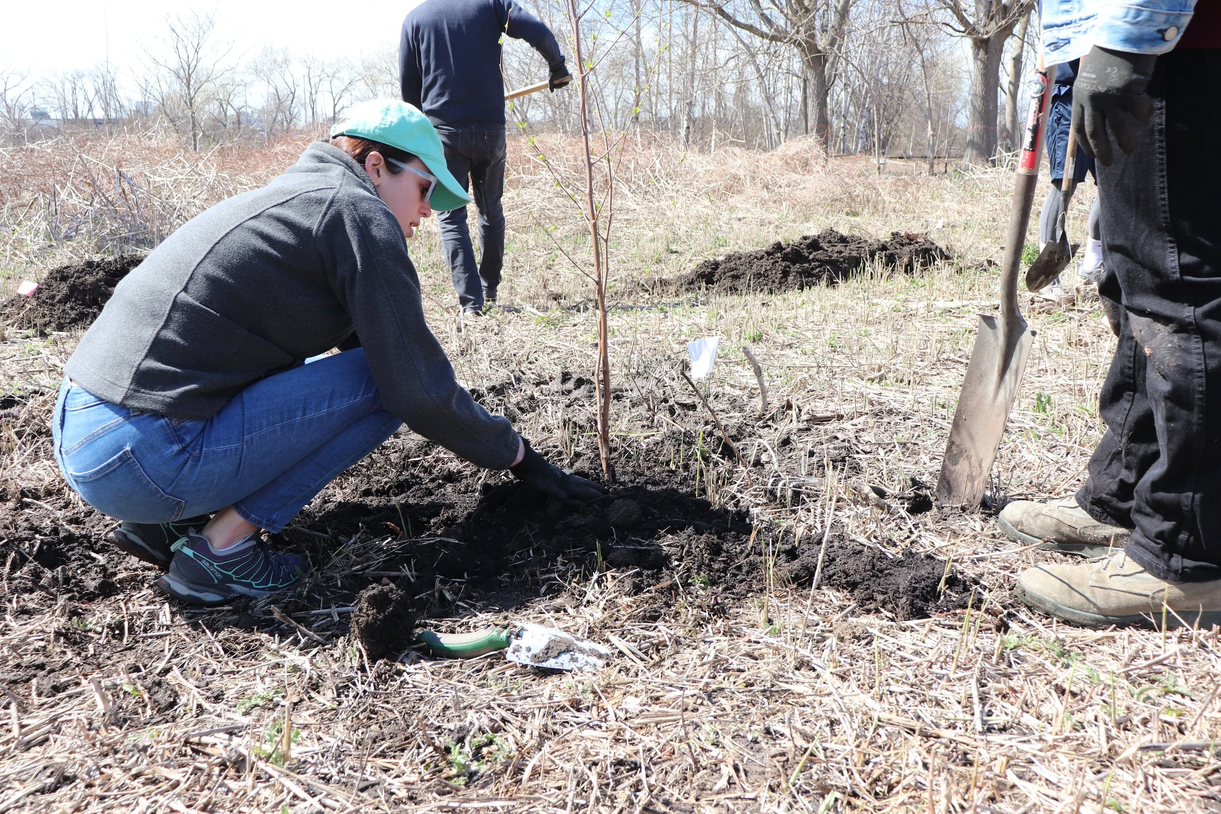 Federal Funding Freezes: Impact on Your Watershed