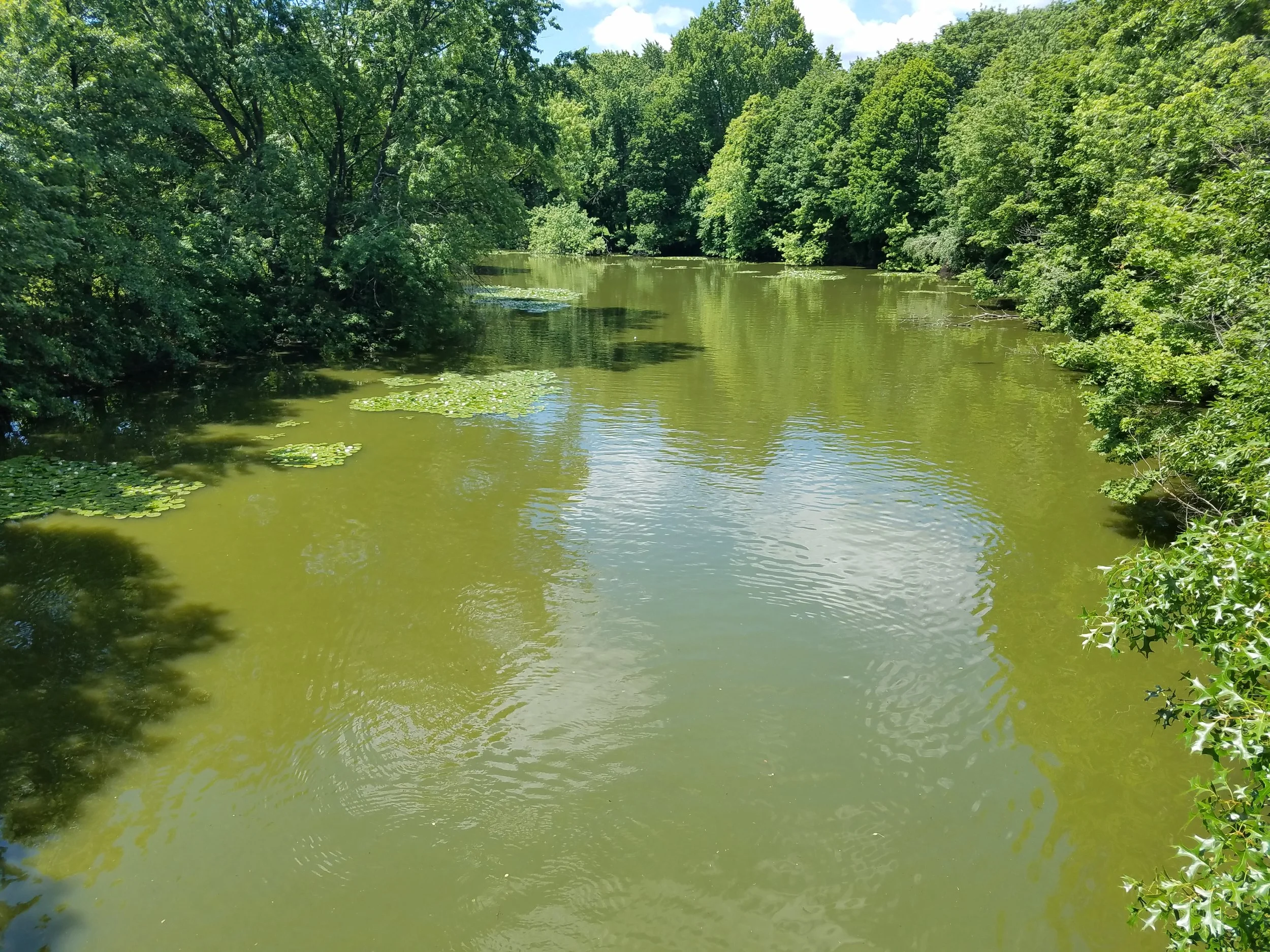 MyRWA’s Letter on the Draft General Permit for Private Commercial, Industrial, and Institutional Stormwater Discharges