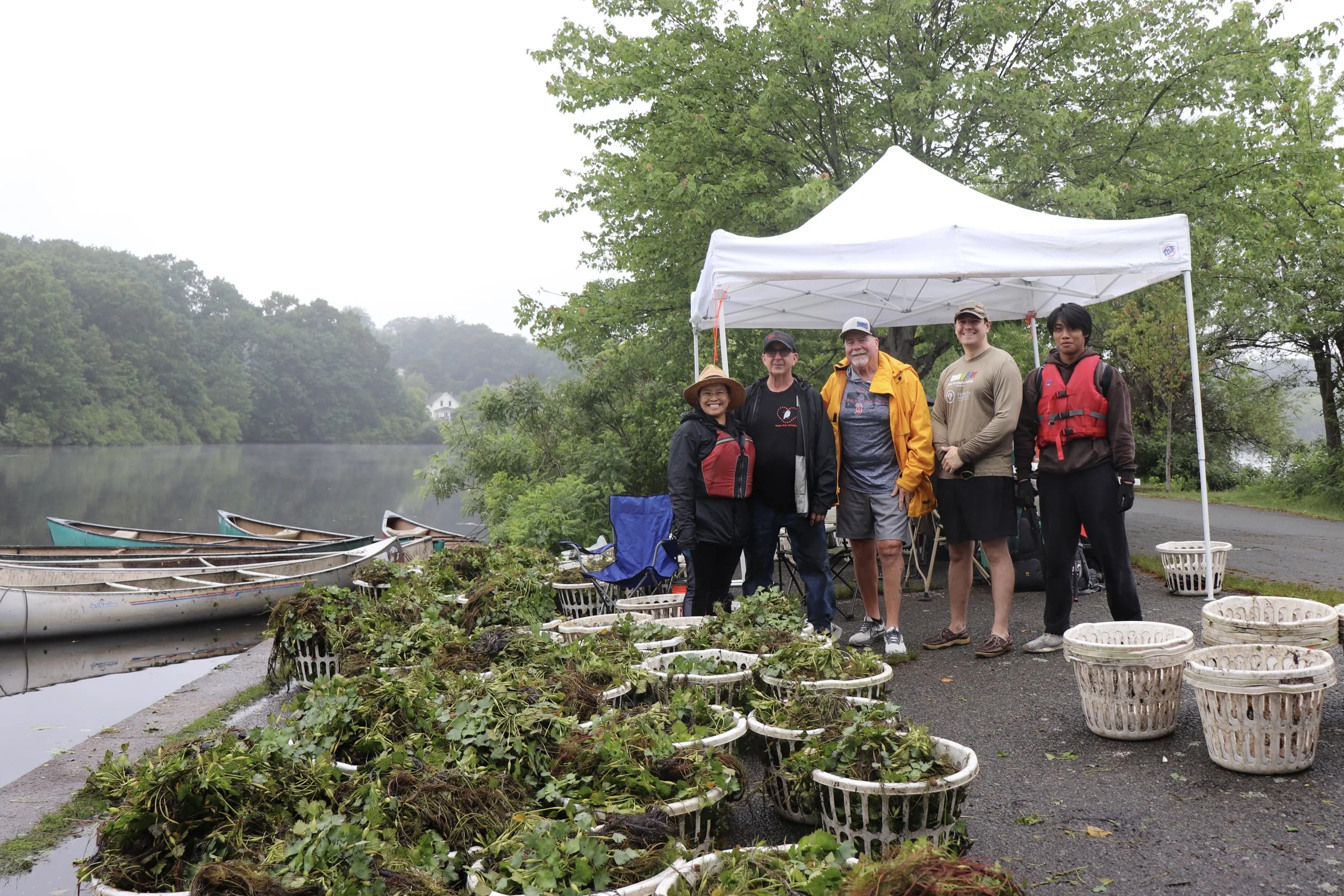 Our first ever Horn Pond water chestnut removal! Volunteers removed 773 baskets. PC: Daria Clark Santollani