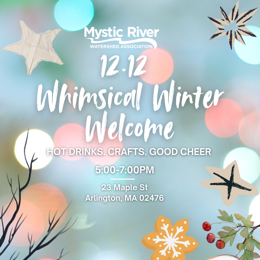 Whimsical Winter Welcome