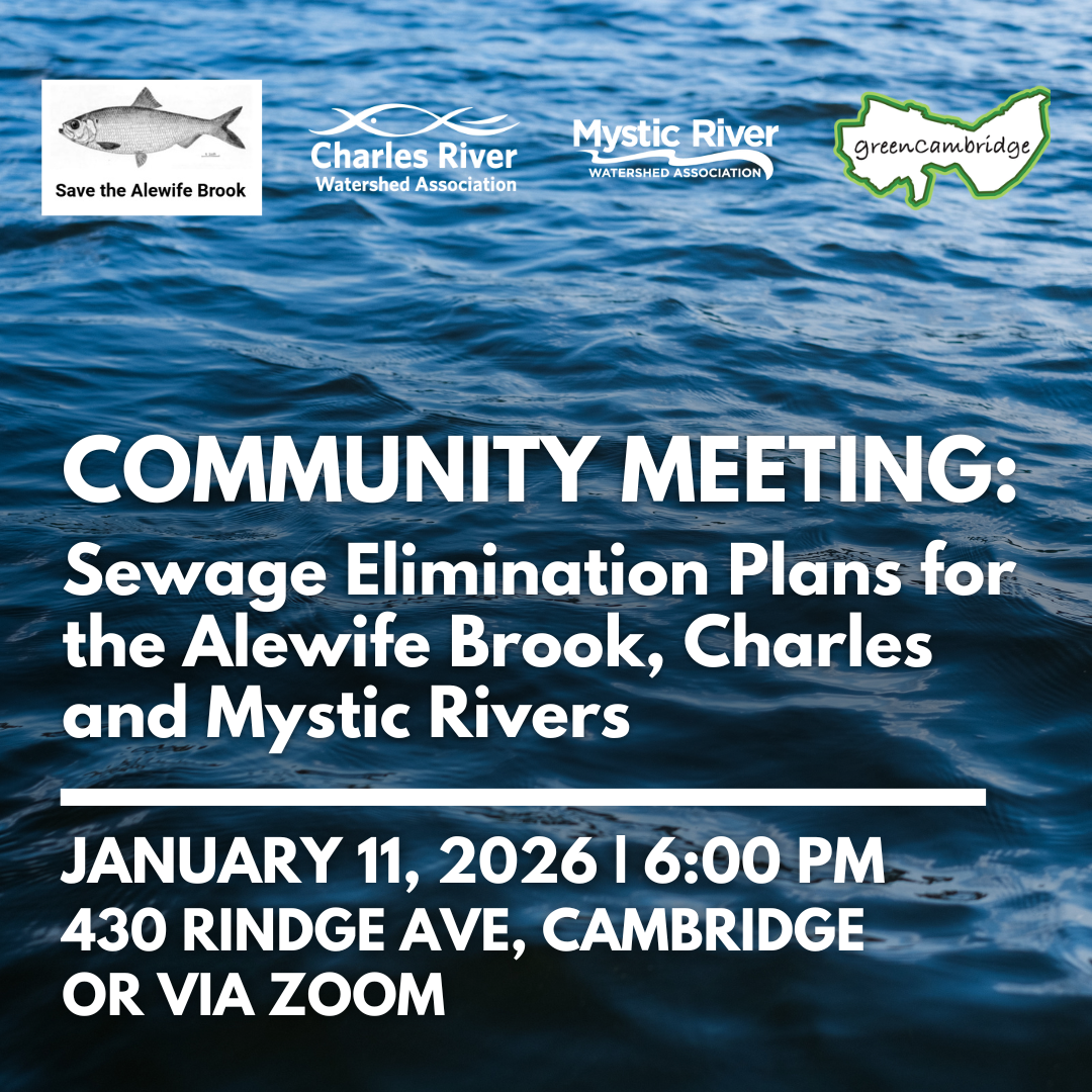 Community Meeting: Sewage Elimination Plans for the Alewife Brook, Charles, and Mystic Rivers