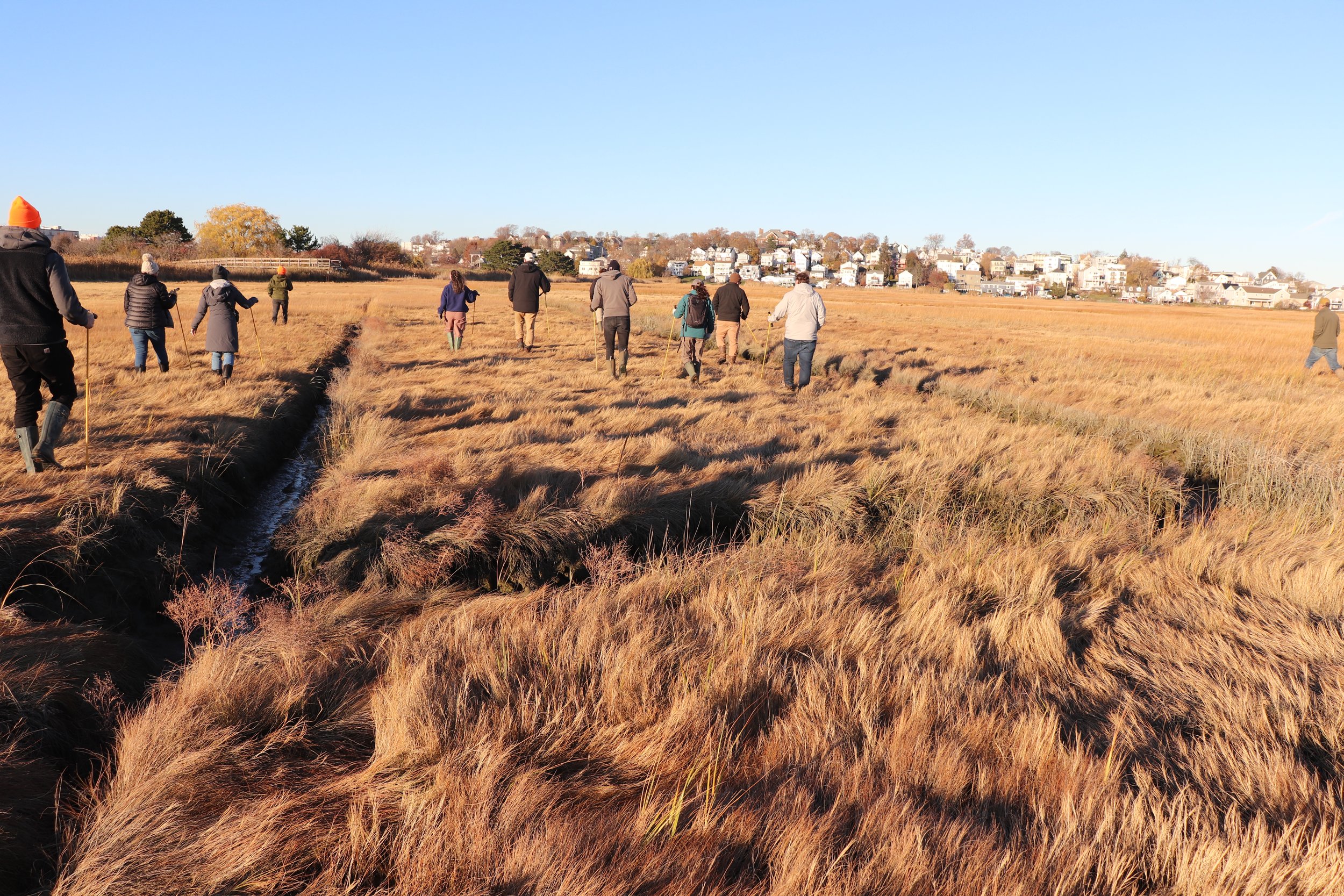 A Salt Marsh Restoration Field Trip to Belle Isle Marsh