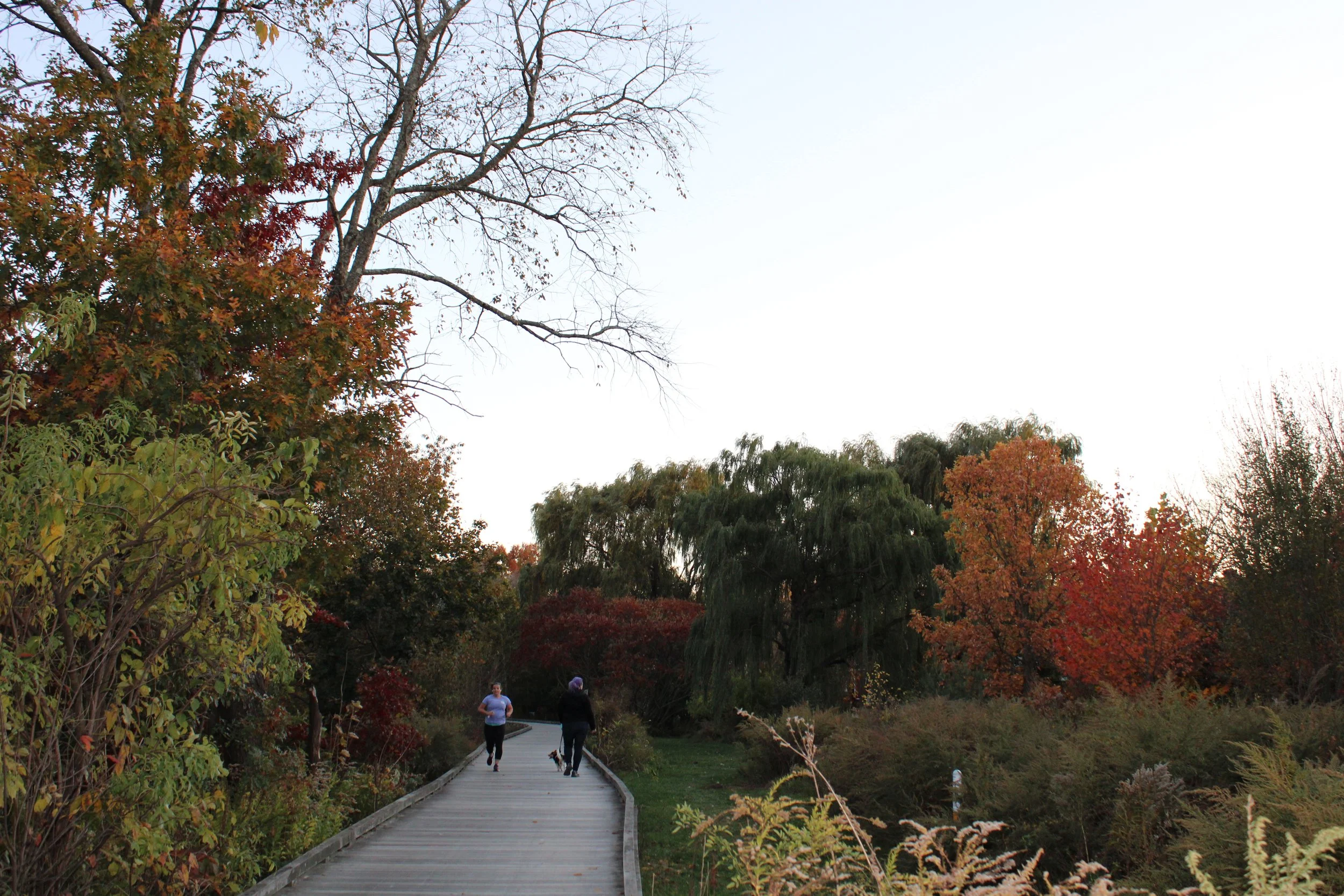 CSO Update: What We Learned from the January 15th Public Meeting