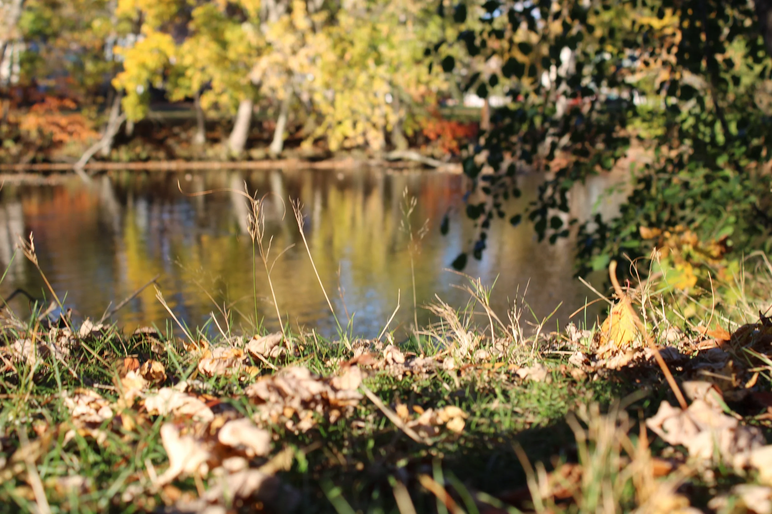 “Zero CSOs in a Typical Year” Does NOT Mean CSO Elimination