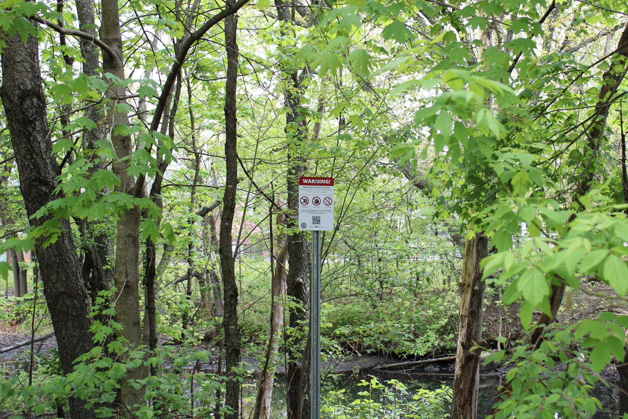 Press Release: MWRA Votes to Keep Dumping Sewage, Rejecting Affordable Plans to Virtually Eliminate CSOs