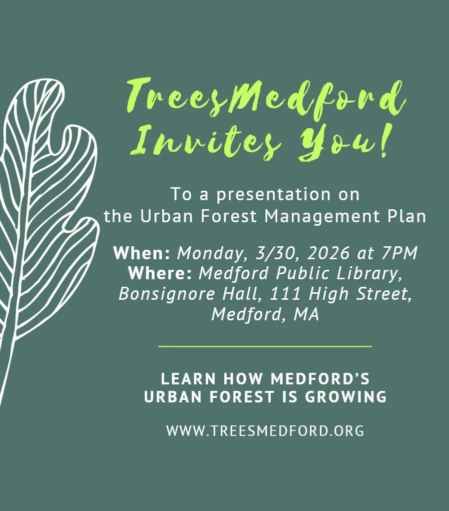 TreesMedford: The Urban Forest Management Plan