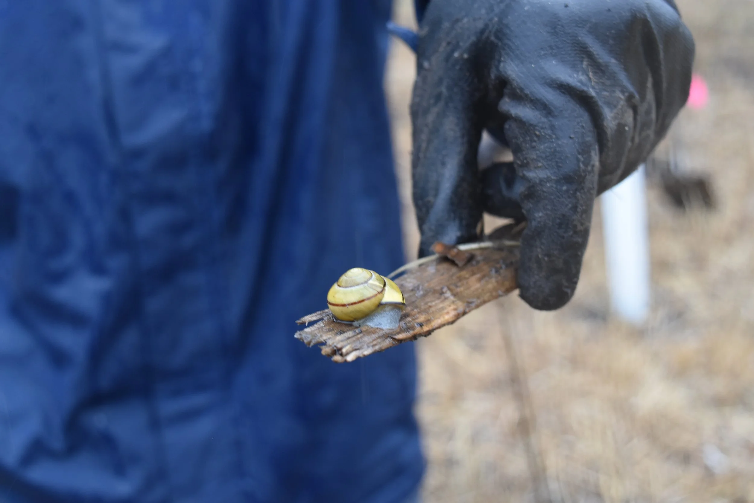 Rain: Our River Remembering