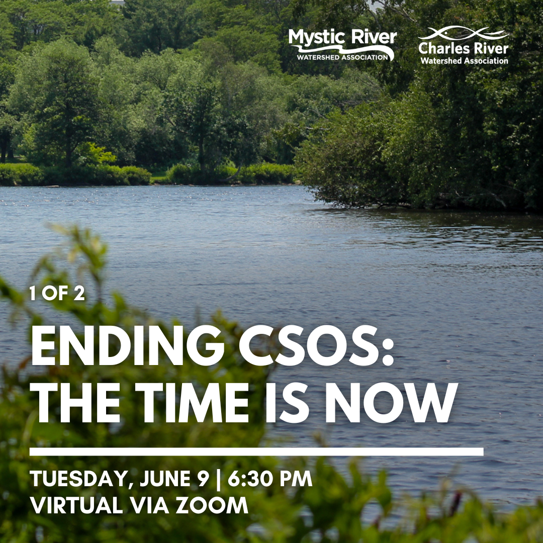 Ending CSOs: The Time is Now! (1 of 2)