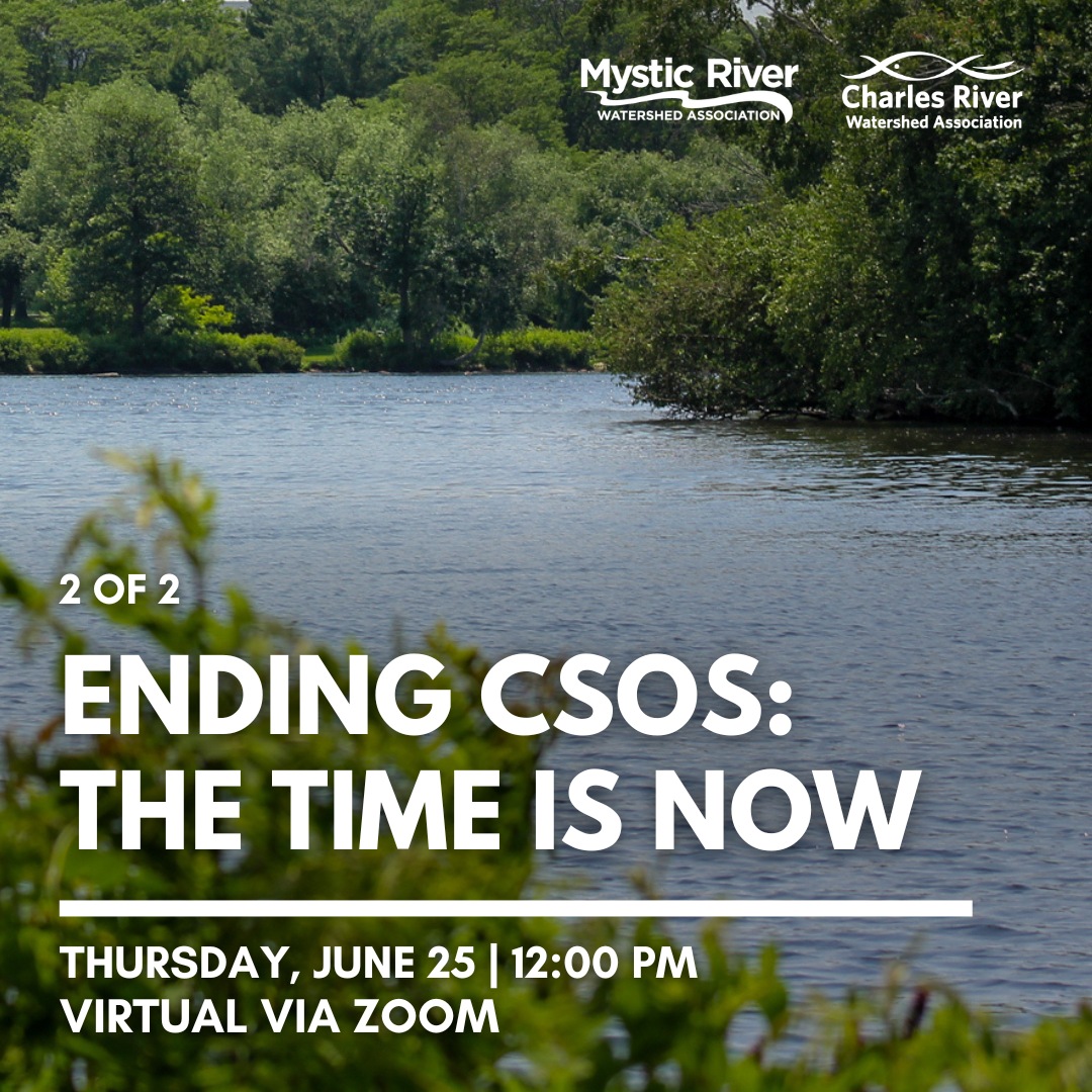 Ending CSOs: The Time is Now! (2 of 2)
