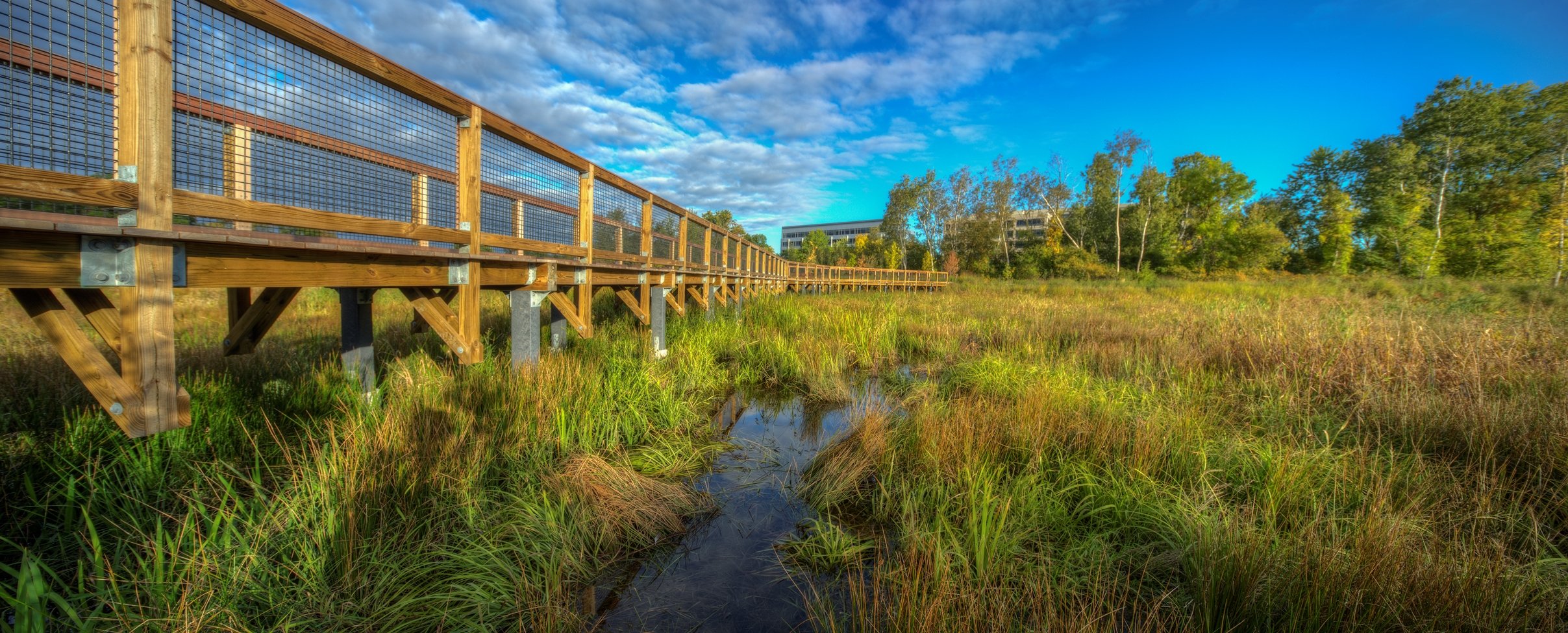 Stormwater and Sewage Safari - Alewife Brook and Wetland