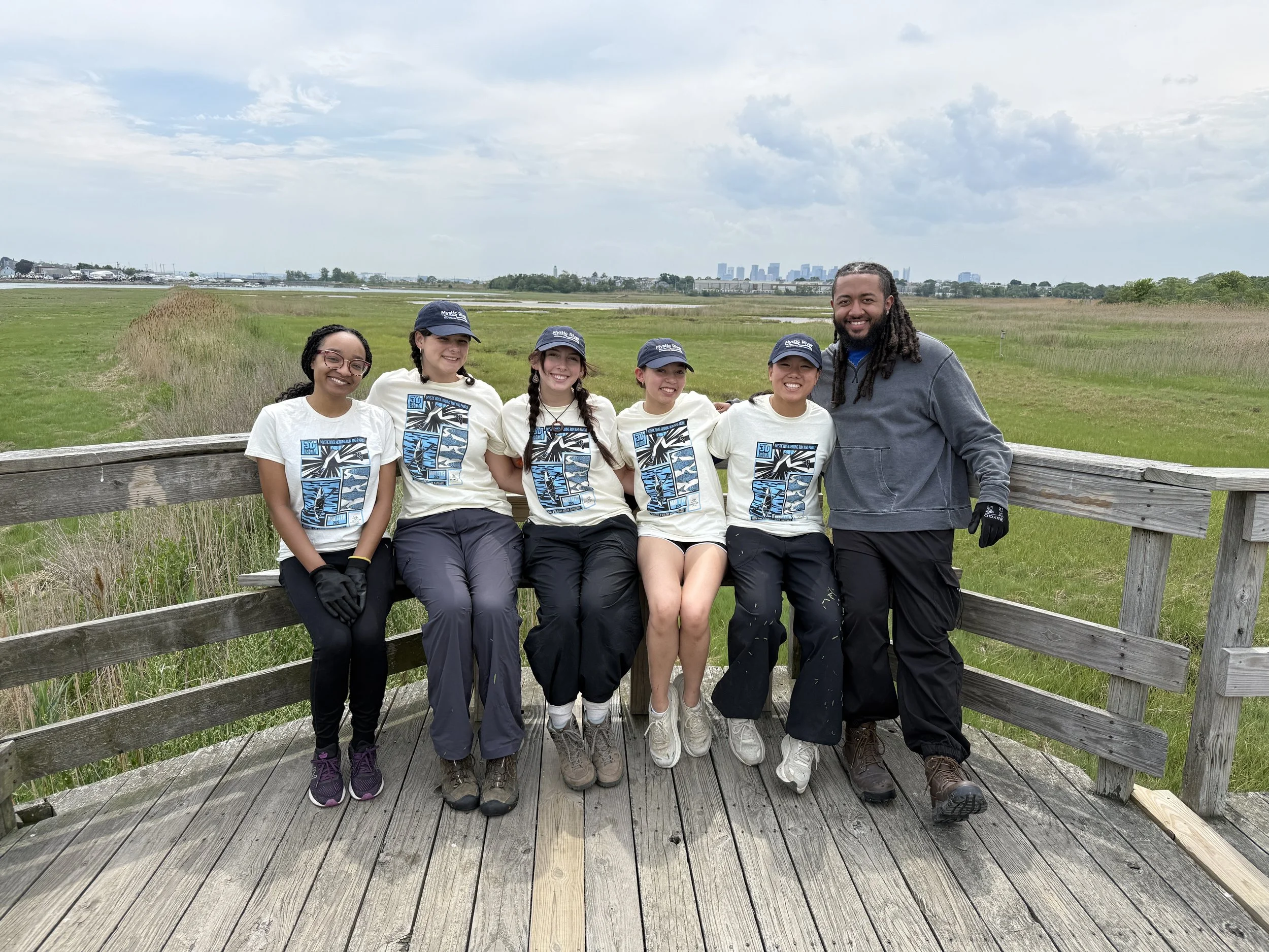 Meet Our Summer Fellows 